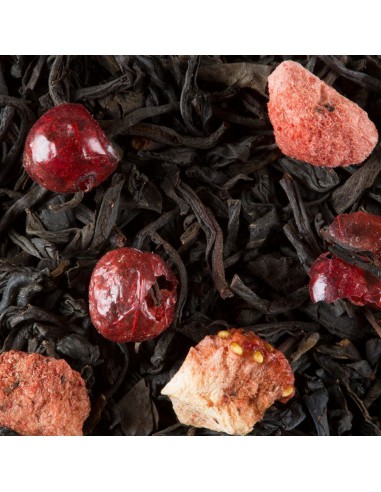 4 fruits rouges DAMMANN 25 sachets