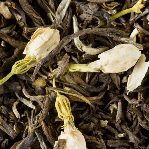 Thé vert au jasmin DAMMANN 25 sachets 2