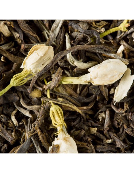 Thé vert au jasmin DAMMANN 25 sachets