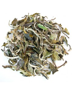 paï mu tan