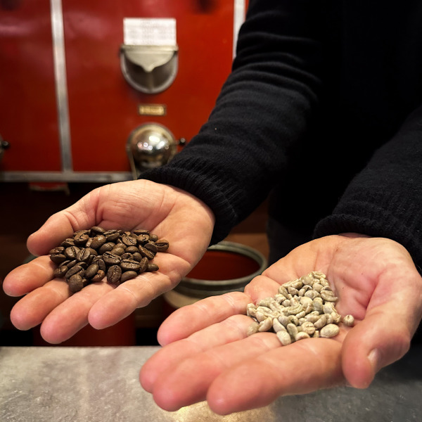 Café en grains ou café moulu : lequel choisir selon votre préparation ?